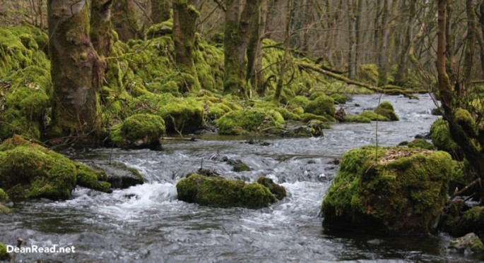 Tideswell_Dales
